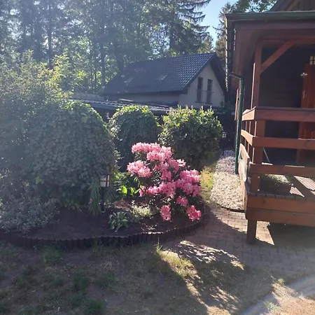 Na Zoledziowej * Morzyczyn