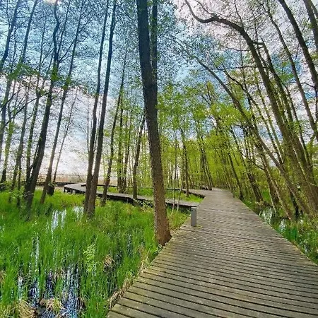 Na Zoledziowej Nyaraló Morzyczyn