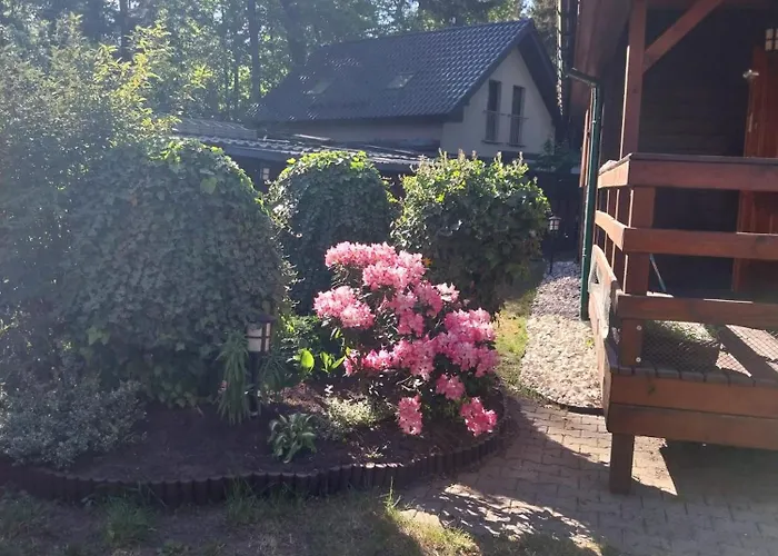 Na żołędziowej * Morzyczyn (West Pomeranian)