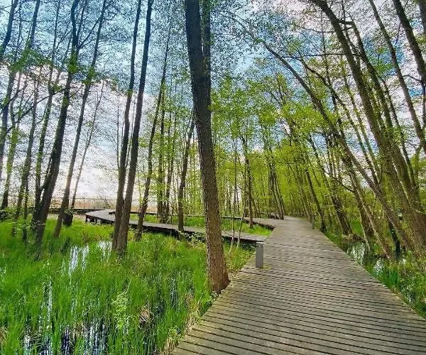 Na Zoledziowej Hébergement de vacances Morzyczyn (West Pomeranian)
